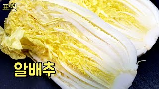 막 담가서 바로먹는 맛김치.Fresh Kimchi 