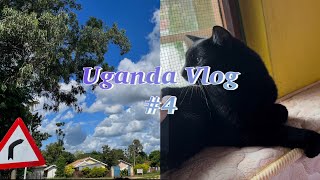 🇺🇬우간다 vlog #4 Back to Routine