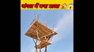 #जंगल में बना डाला tree 🌲 house 🏡😱😱#youtubeshorts #youtube #shorts