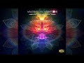 Kaleidoscopic Vibrations | Psychedelic Downtempo Compilation