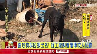 慘! 阿嬤遭3犬狂咬圍攻 傷口見骨.掀頭皮耳爛