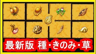 DQ11 効率の良い集め方！片手間 他 きのみ・たね・草 入手場所！ステータス999目指す方 向け！ドラクエ11,ドラクエ徹底攻略【メイルス】