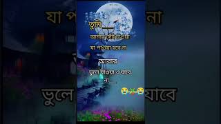 তোমার দেওয়া আঘাত আমি সয়তে পারিনা #foryou short #vìdeo@ashraful tik tak