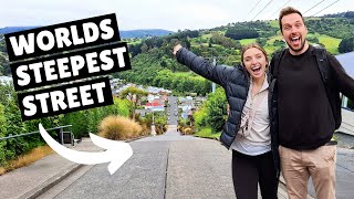 DUNEDIN NEW ZEALAND (What to do!)