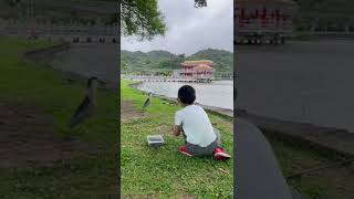 弟弟把釣起來的魚餵鳥 ｜大湖公園釣魚