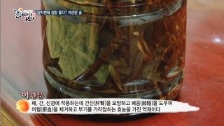 애들은 가라! 남자한테 정말 좋은 야관물술!_채널A_갈데까지 가보자 69회