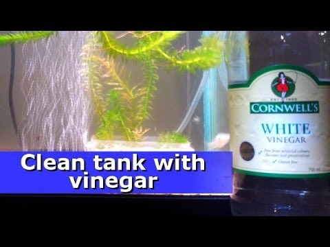 Clean the outside of your fish tank Clean the outside of your fish tank