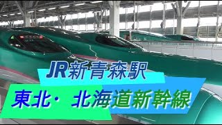 【新青森駅】東北・北海道新幹線の発着 2020/3/17