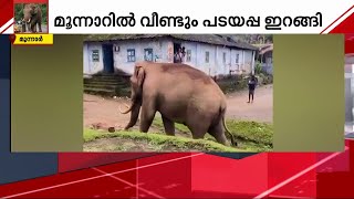 പടയപ്പ കലിപ്പിലാണ്; ദേവികുളത്ത് റേഷൻകട തകർത്തും അരിച്ചാക്കുകൾ വലിച്ചിട്ടും പ്രകോപനം