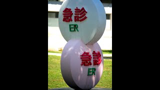 龍應台「大江大海一九四九」讀後感（中）－外省人的自我毀滅與高級本省人