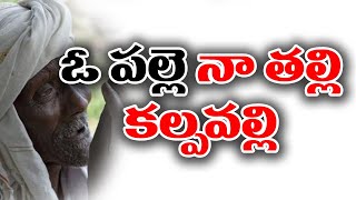 ఓ పల్లె నా తల్లి కల్పవల్లి సాంగ్ | CPIM TELANGANA | PNM SONGS |