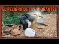 EN BUSCA DE TRES MIGRANTES QUE QUEDARON EN EL DESIERTO DE ARIZONA SEMANAS ATRÁS