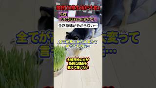 【なんで？】日本国民「税金と物価が高すぎてとにかく大変！」→政府「夫婦別姓に時間が無くて大変」#shorts