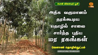 அதிக வருமானம் தரக்கூடிய தொழில் சாலை சார்ந்த புதிய மர ரகங்கள்  | Agricultural Technology