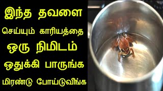 இந்த தவளை செய்யும் காரியத்தை பாருங்க மிரண்டு போய்டுவீங்க | எச்சரிக்கை பதிவு | panchumethai