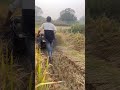 Dhaan Cutting Machine 2025 #riteshvlogsrv#shortvideo#farming#dhankheti#dhaan#paddy#shorts#status