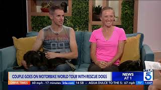 Couple travels around the world with rescue dogs