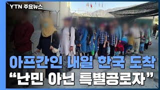 "韓 도운 아프간인 391명 내일 한국 도착"..."난민 아닌 특별공로자" / YTN