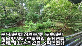 분당 태재고개 2억 5천 짜리 ALL수리/도배/청소 완료된 갓성비 빌라매매? 코앞에 숲세권 뷰, 세대당 지정 주차 2대,신현초/중 도보거리!