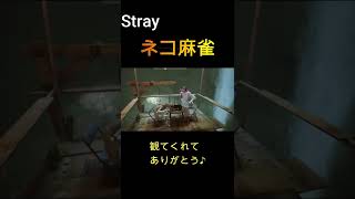 跳にゃん！！！！！！！【Stray/ストレイ】#shorts