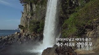 한라산이 낳고 바다가 품은 제주 서귀포 정방폭포