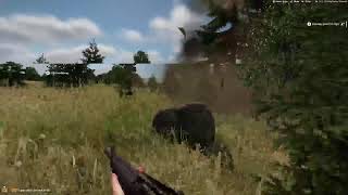 New game Arma