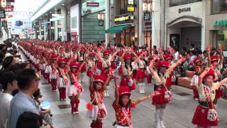 サニーグループ　～2012高知よさこい祭り・全国大会(帯屋町筋会場)