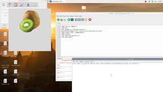 python tkinter- close,minimize,maximize off