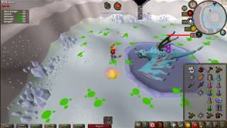OSRS - Vorkath Head Drop