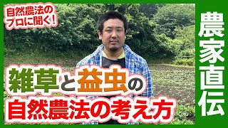 家庭菜園で活かしたい！自然農法の雑草と益虫との付き合い方【農家直伝】