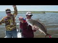 bwa 1309 delacroix redfish trailer