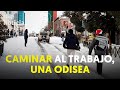 Lunes de VUELTA AL TRABAJO a pie y por caminos HELADOS en MADRID | RTVE