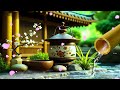 zen retreat relaxing piano u0026 waterfalls for yoga spa u0026 meditation