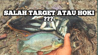 Mancing BELANAK DAPAT JACKPOT IKAN NILA || #mancingbelanak