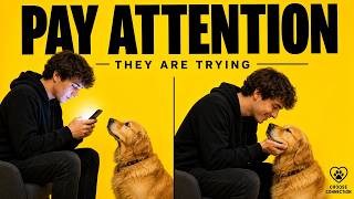 Your Dog Is SECRETLY Sending You Messages Every Day?
