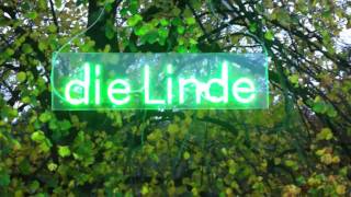 die linde