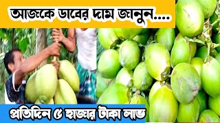 আজকে ডাবের দাম জানুন ♦ পাইকারি ডাব কোথাই পাবেন ♦ডাবের ব্যবসার আইডিয়া