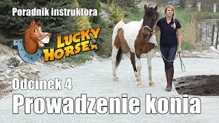 Porady LuckyHorse.pl - Odc4 - Prowadzenie konia