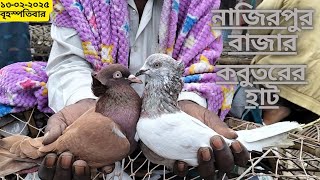 নাজিরপুর বাজার কবুতরের হাট ১৩-০২-২০২৫ বৃহস্পতিবার |  Pigeon Price in Bangladesh 2025 | Kobutor Bazar