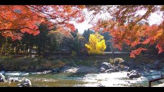 御岳渓谷の紅葉