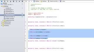 Xcode Database - How to create, read, update and delete (CRUD)