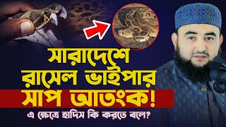 সারাদেশে রাসেল ভাইপার সাপ আতংক! এ ক্ষেত্রে হাদিস কি করতে বলে ? mustafiz rahmani