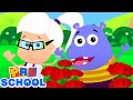 Ringa Ringa Roses | kids Preschool Songs For Children | Nursery Rhymes