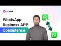 Use WhatsApp Business App & API on the Same Number｜WhatsApp  Business App Coexistence Explained