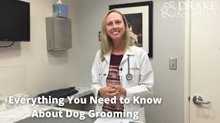 Everything You Need to Know About Dog Grooming