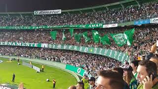 Coritiba x Ponte, gol Rodrigão e festa da torcida 29/04/2019