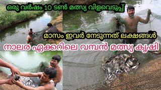 മത്സ്യ കൃഷി നഷ്ടം എന്ന് പറയുന്നവർ ഈ ഫാം ഒന്നു കണ്ട് നോക്കു|Fish Farming Kerala|Fish Hatchery|Fishing