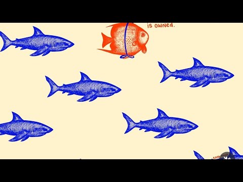 13 Data Analytics Youtube