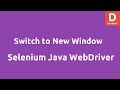 Switch to new Window using Selenium Java