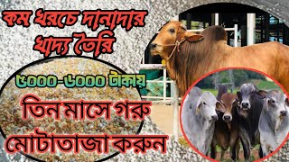 কম খরচে গরু মোটাতাজাকরণ দানাদার খাদ্য তৈরির ফর্মূলা | ১০০ কেজি খাদ্য তৈরির তালিকা ‌ #farming #cow